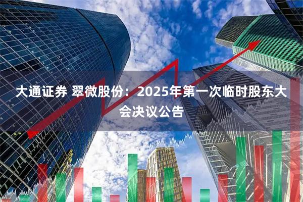 大通证券 翠微股份：2025年第一次临时股东大会决议公告