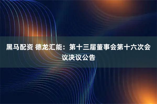 黑马配资 德龙汇能：第十三届董事会第十六次会议决议公告