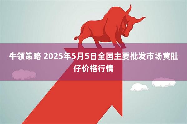 牛领策略 2025年5月5日全国主要批发市场黄肚仔价格行情