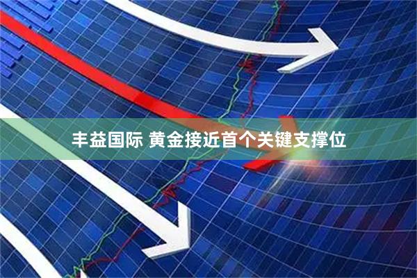 丰益国际 黄金接近首个关键支撑位