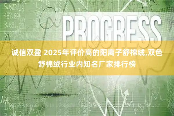 诚信双盈 2025年评价高的阳离子舒棉绒,双色舒棉绒行业内知名厂家排行榜