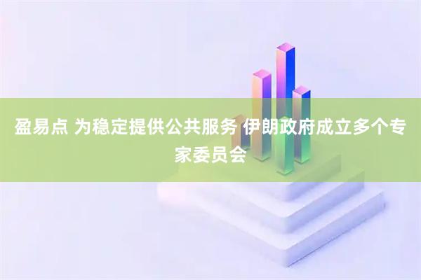 盈易点 为稳定提供公共服务 伊朗政府成立多个专家委员会